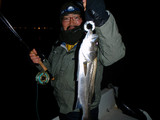 seabass02
