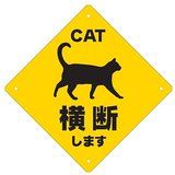 catcaution