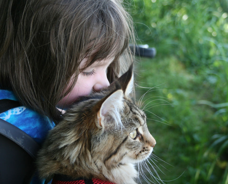 美少女ｘ美猫 自閉症の美少女とメインクーンのthulaのお話 猫ねこネコぬこ
