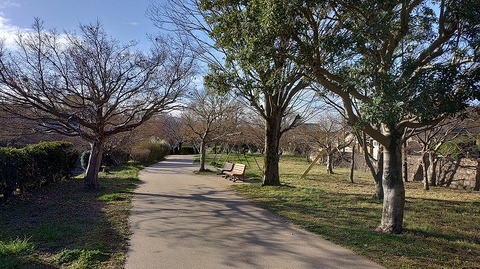 KIMG20260314_074339300