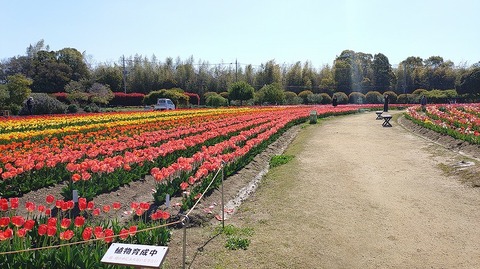 KIMG20260408_100041758