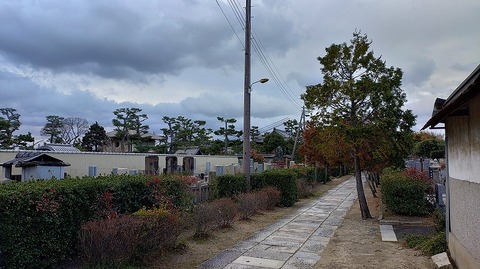 KIMG20260208_074824624