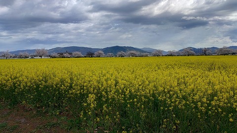 KIMG20260331_103836194