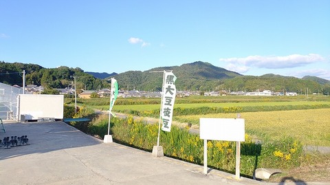 KIMG20251029_153513426