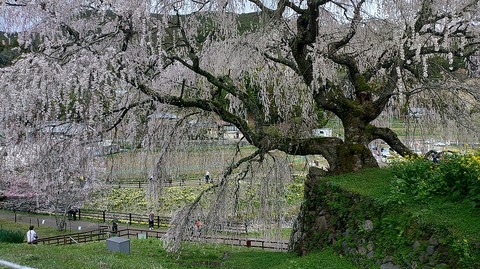 KIMG20260331_113000262