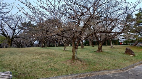 KIMG20260329_062029558