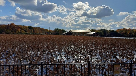 KIMG20251204_131745323