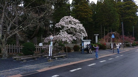 KIMG20260407_094040719