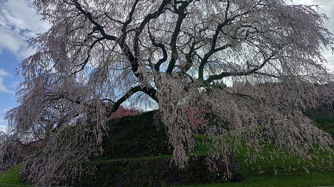 KIMG20260331_112522024