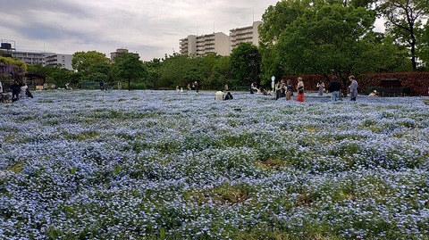 KIMG20260422_102258546