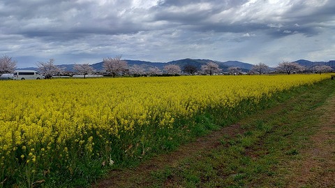 KIMG20260331_104002972