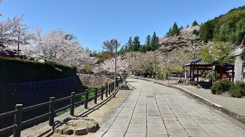 KIMG20260408_105355994