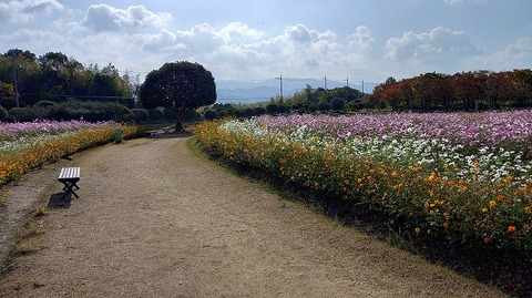 KIMG20251114_103558900