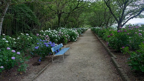 KIMG20260601_151328775