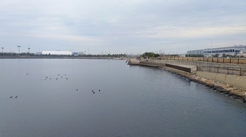 KIMG20260325_062514607