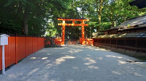 KIMG20260611_074630594