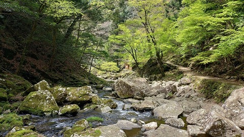 KIMG20260417_121756928