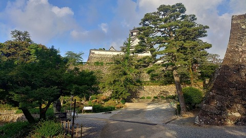 KIMG20260601_060754676