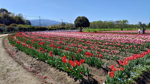 KIMG20260408_095624929