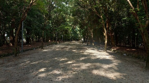 KIMG20260822_080412825