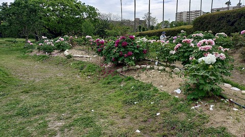 KIMG20260422_101427077