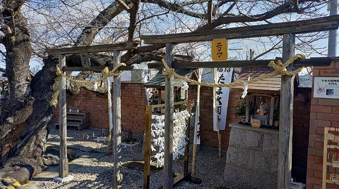 KIMG20260218_101336454