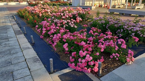 KIMG20260519_061541613