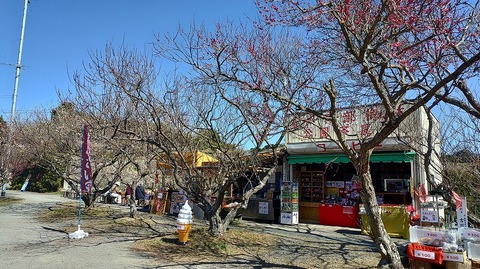 KIMG20260218_125002888