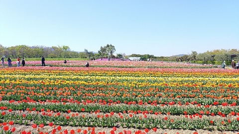 KIMG20260408_095538625