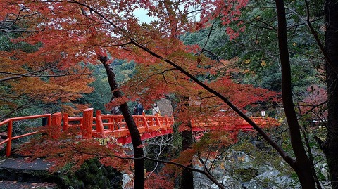 KIMG20251202_125935670