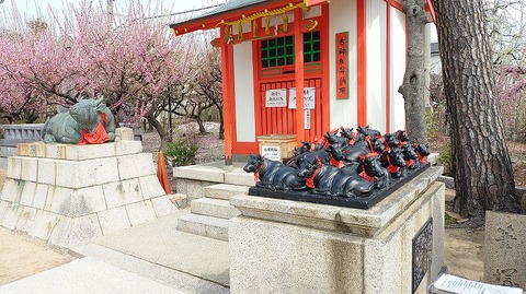 KIMG20260302_123807927