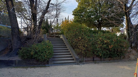 KIMG20260124_084334838