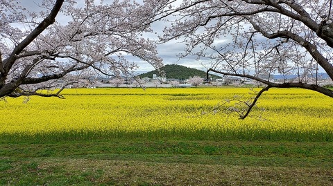 KIMG20260331_104539476