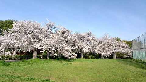 KIMG20260406_071458943