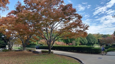 KIMG20251112_110651397