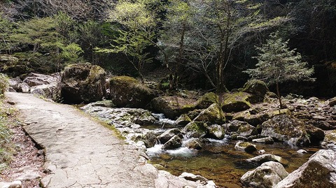 KIMG20260417_121254998