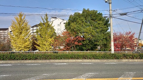 KIMG20251121_083329397