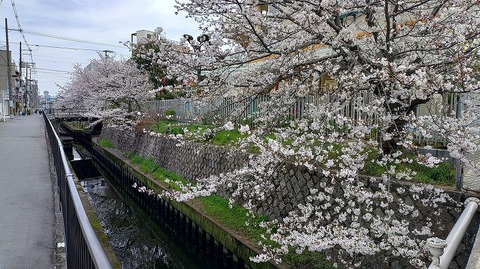 KIMG20260405_104712237