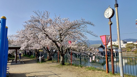 KIMG20260403_083205539