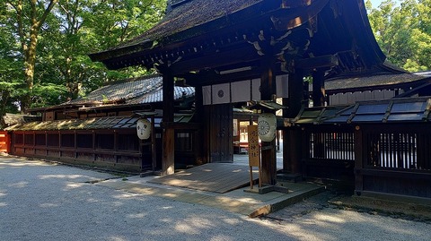 KIMG20260611_074628755