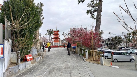 KIMG20260302_122828360