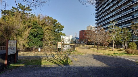 KIMG20260301_083420472