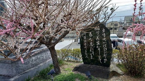 KIMG20260302_123546994