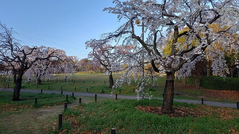 KIMG20260327_062606642