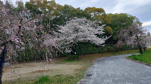 KIMG20260402_065605566