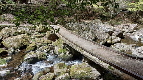 KIMG20260417_120233243