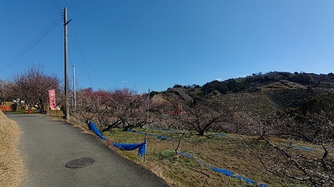 KIMG20260218_124339260