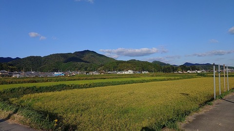 KIMG20251029_153439502