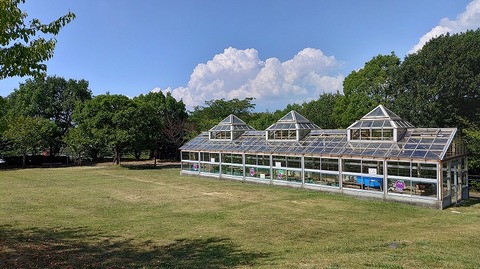 KIMG20260901_141418320