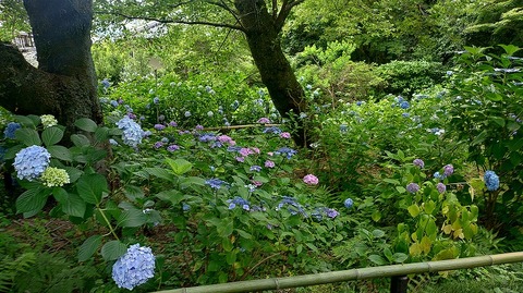 KIMG20260618_101028727